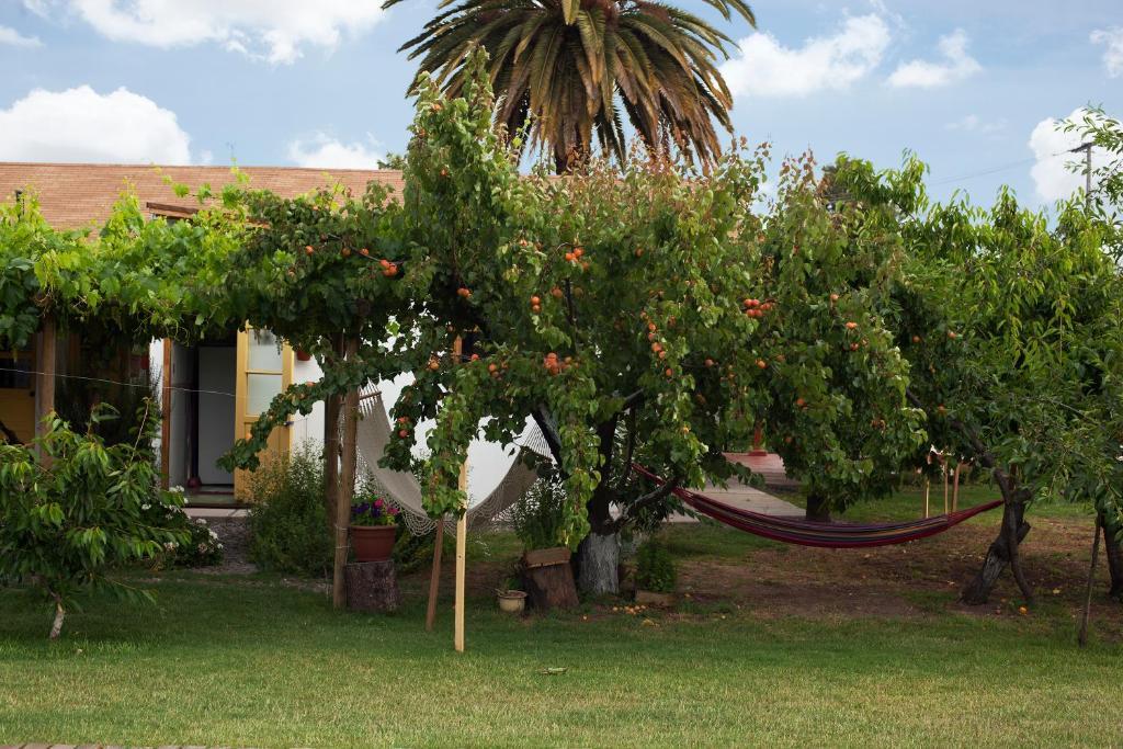 Casa Pando Bed & Breakfast Santa Cruz Ngoại thất bức ảnh