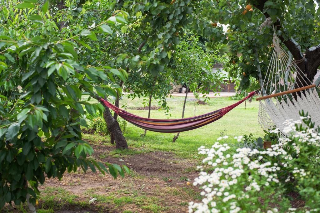 Casa Pando Bed & Breakfast Santa Cruz Phòng bức ảnh